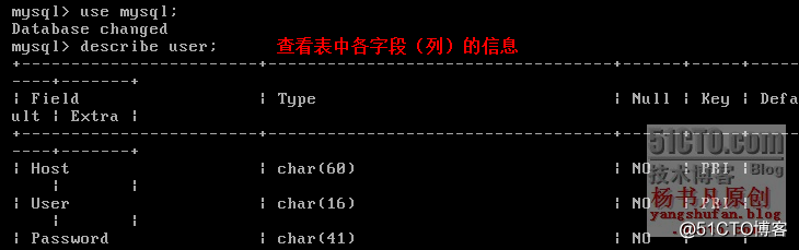 杨书凡37.png