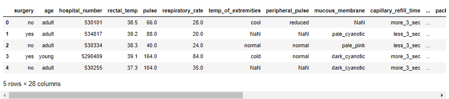57dd498a1d2ac7c981ffe7fddcaf1936.png