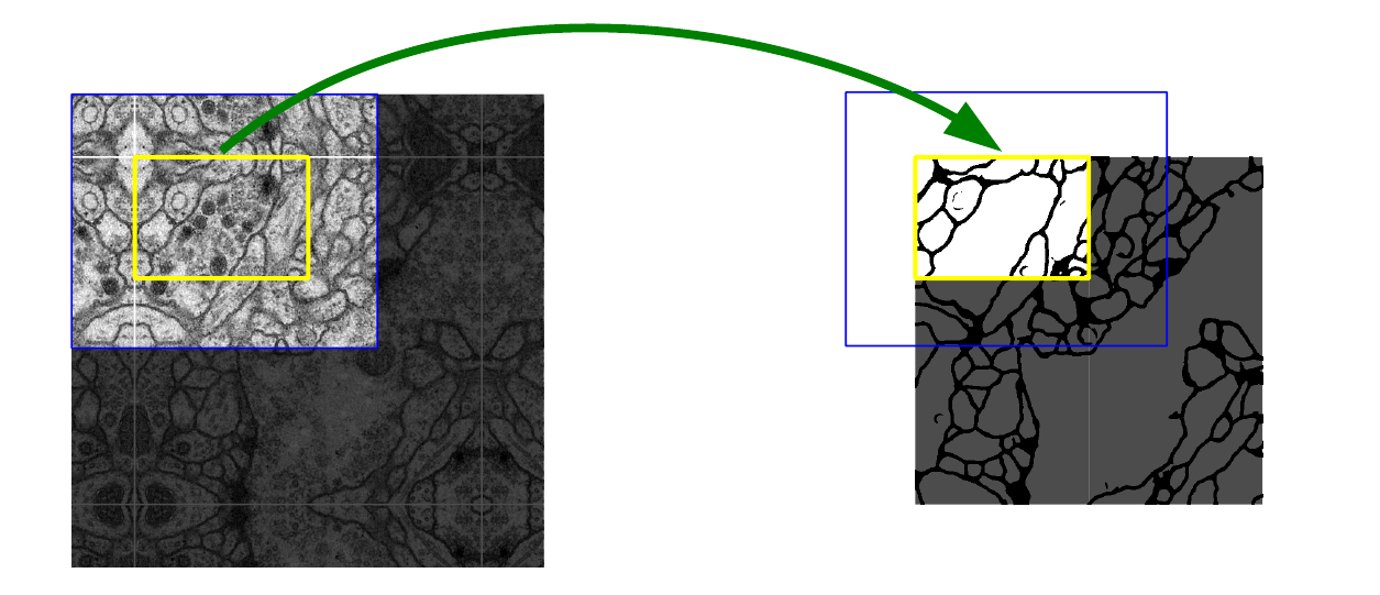image-20211103003948245