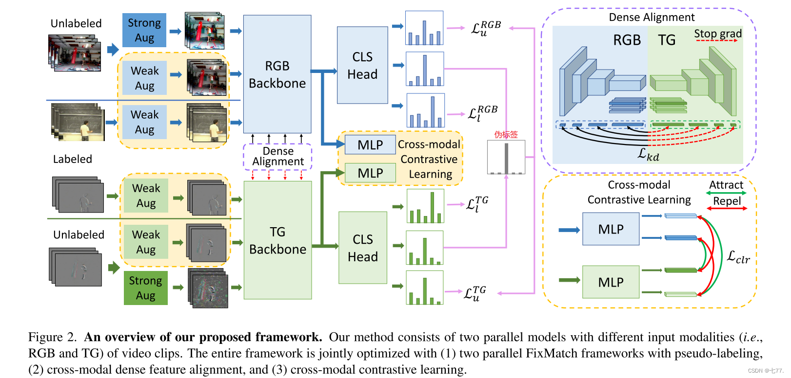 Learning from Temporal Gradient for Semi-supervised Action Recognition ...