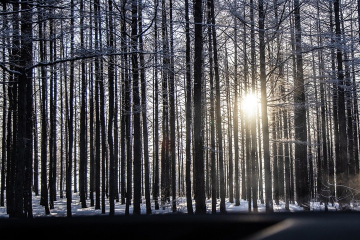 4ed0b5131be81c3184e888d22f573b20.png