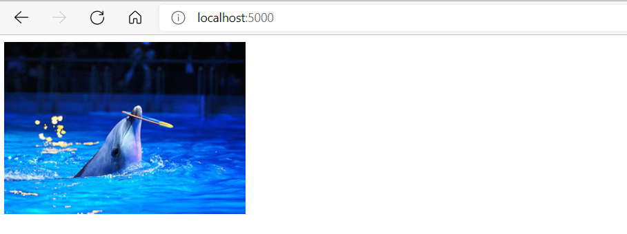 image-20220320223024405