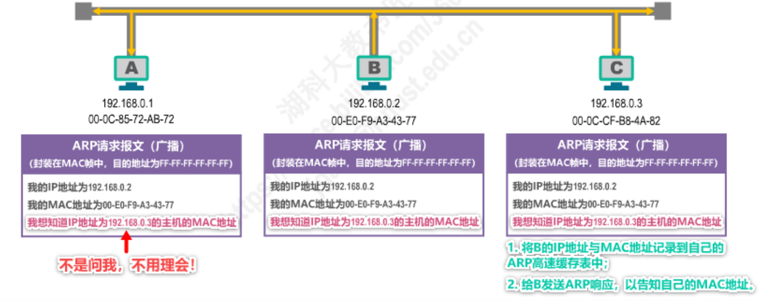 image-20230213231303494