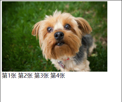slide1.gif width 