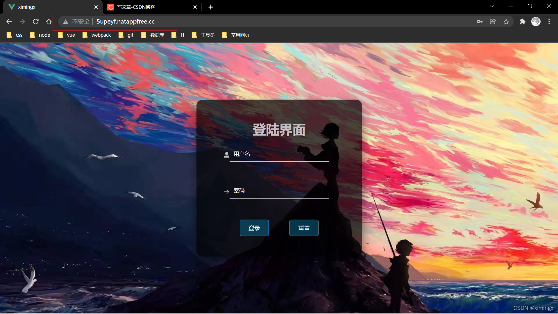 在这里插入图片描述