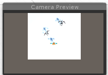 minimap camera preview