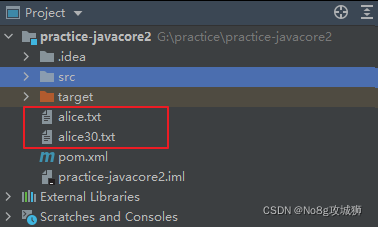 【Java用法】Paths.get()方法的使用-CSDN博客