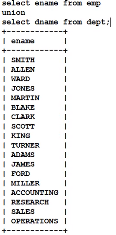 image-20220207192844013