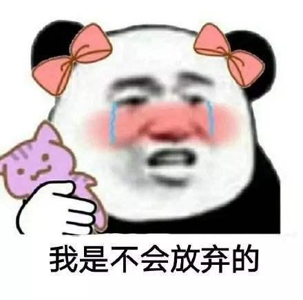 学会了C语言/C++能做什么？我们一起来看看吧！