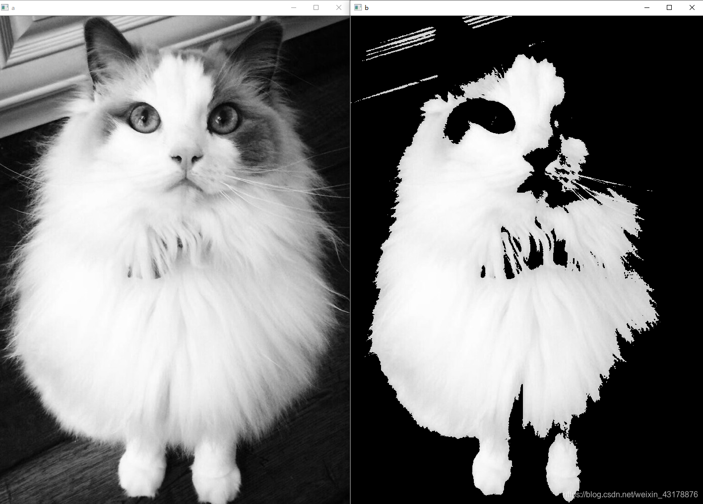 python人狗大战精彩瞬间，python人狗大战精彩瞬间视频