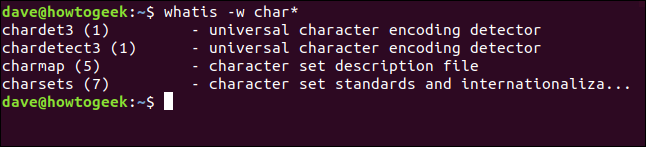 whatis wildcard matches in a terminal window