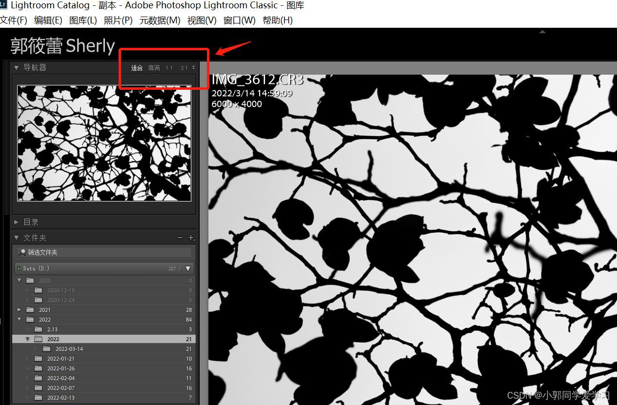请添加图片描述