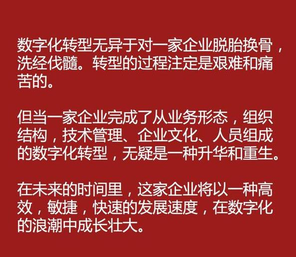 老板让我搞数字化转型？成功之后，我整理了这套超全的方法论