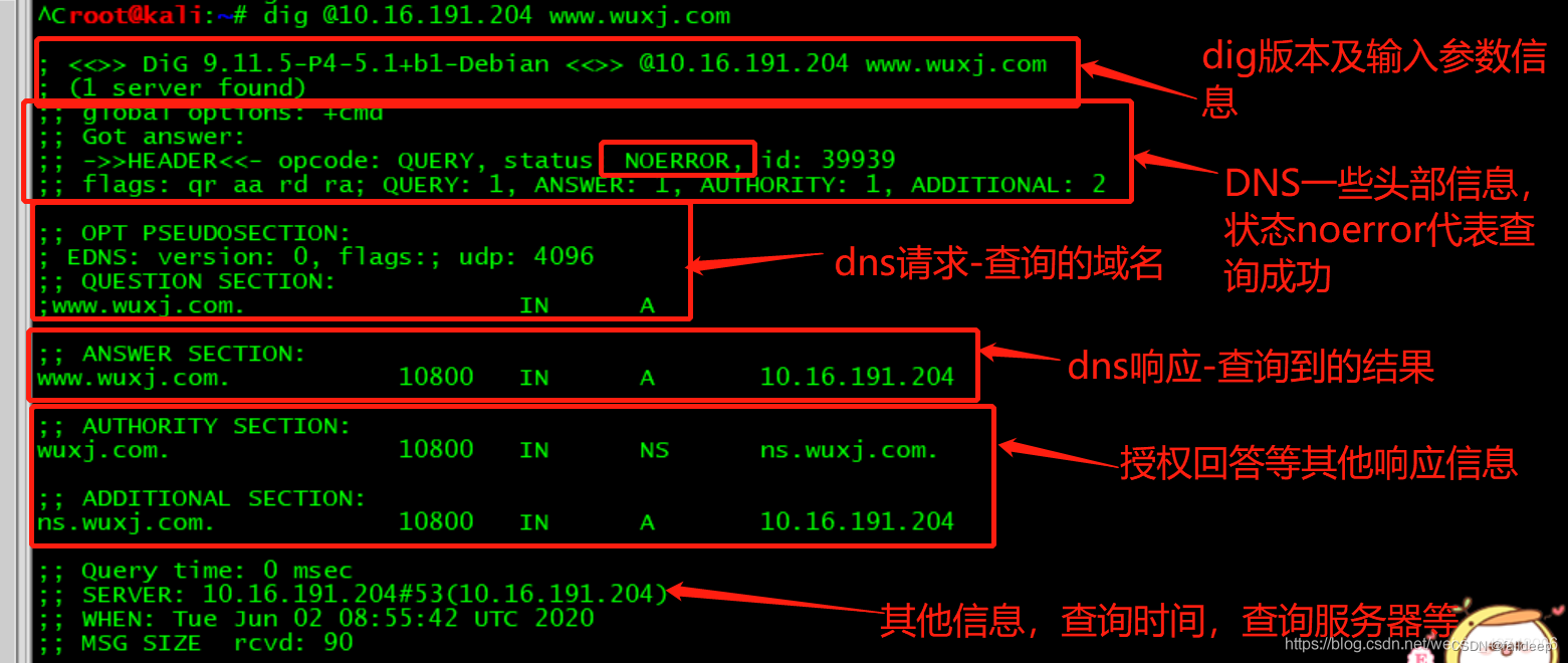 Linux DNS查询详解与dig命令使用-CSDN博客