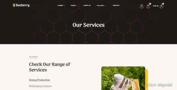 如何进行网站程序开发的数据安全保护?