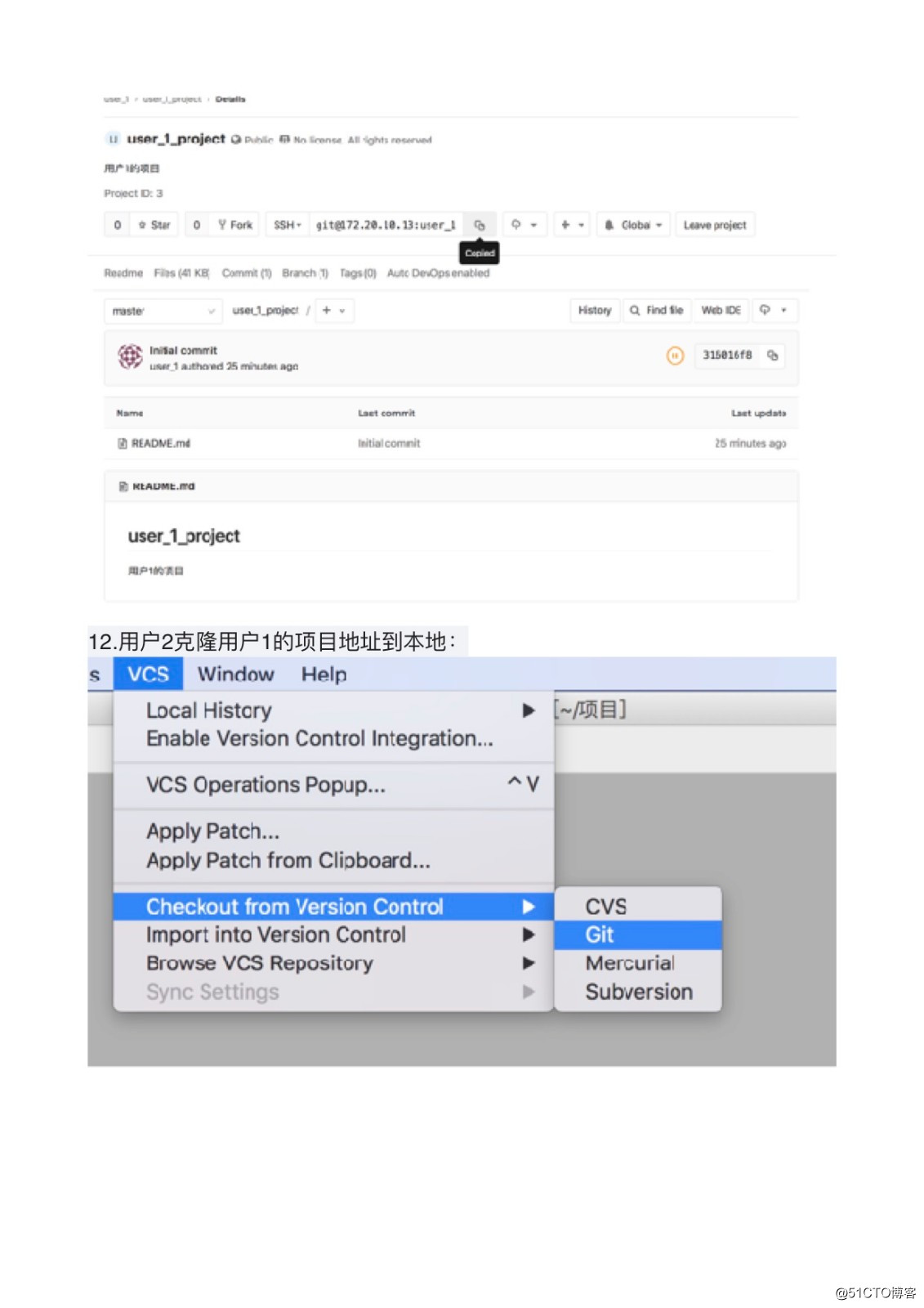 gitlab用法