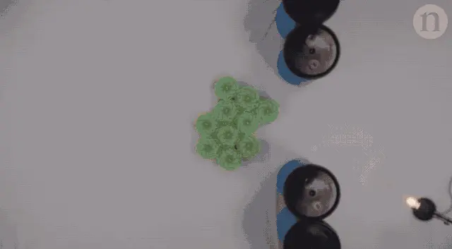 4624570-398d999cb6ee58d7.gif
