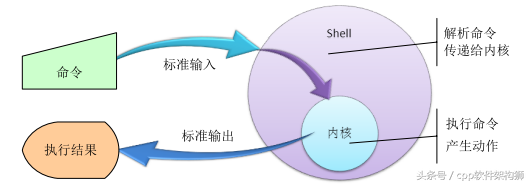5分钟快速搞懂Shell基础知识