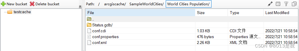 通过s3 browser查看