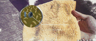 566a0722cd76be8fddbfc7df622a160c.gif
