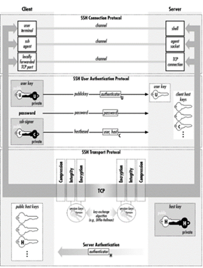SSH协议详解：安全特性与应用实践-CSDN博客