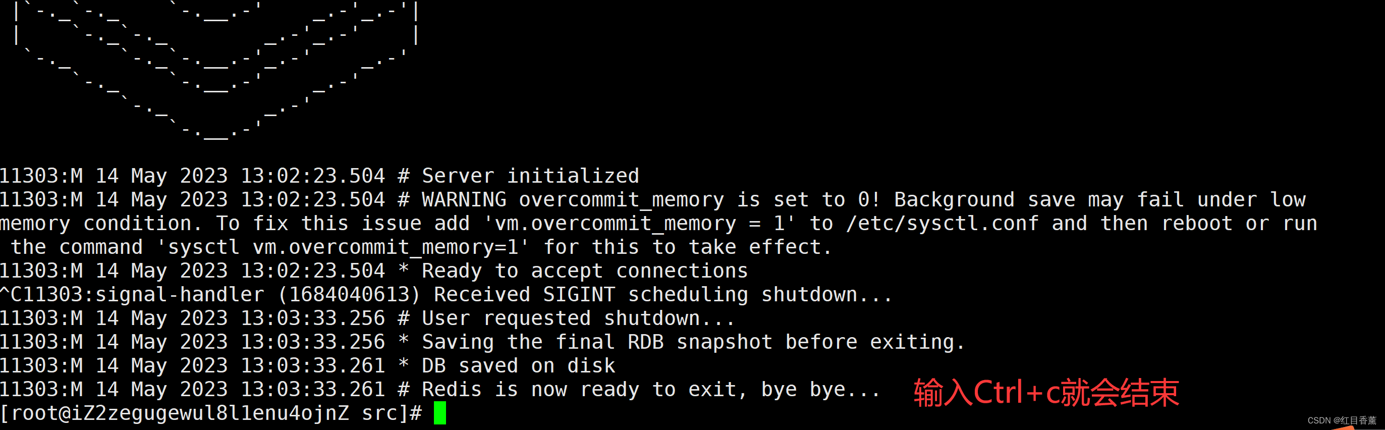 阿里云RDS购买Linux——安装redis服务_阿里云 rds redies-CSDN博客