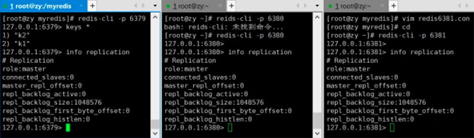 image-20211216113946370
