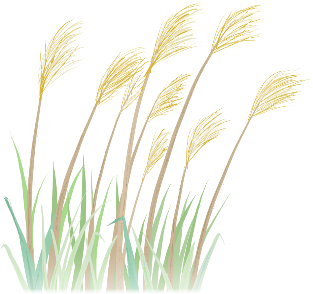 70206b4542c599ebea8c7c077f5333c6.png