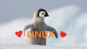 RHEL7 磁盘管理RHEL7 磁盘管理