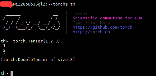 torch-install