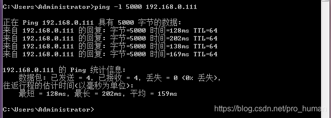 DIY TCP/IP Large Packet Ping Sample