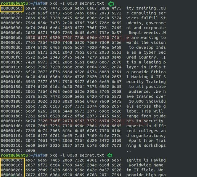 用于提权的Linux命令，即“xxd”用于提权的Linux命令，即“xxd”