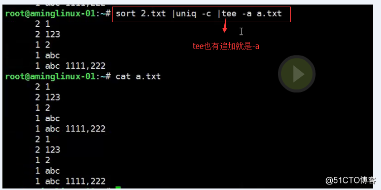 shell特殊符号cut命令sortwcuniq命令tee_tr_split命令shell特殊符号下