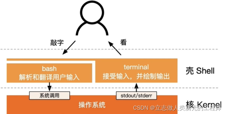 【基础期】Linux系统结构_linux分支-CSDN博客