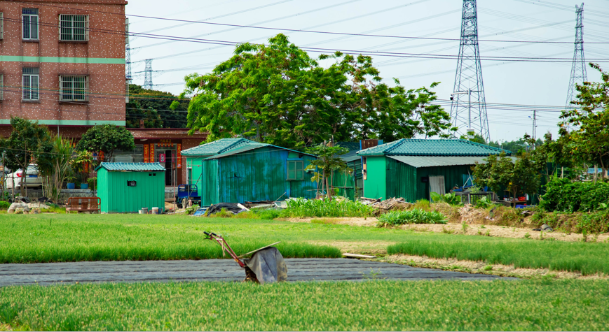 简易修复工具_乡村振兴丨我镇田间窝棚整治工作完成 ,崭新农田工具房