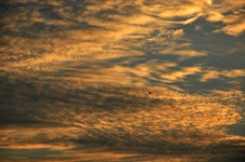 120223a2_DSC_0172_052550