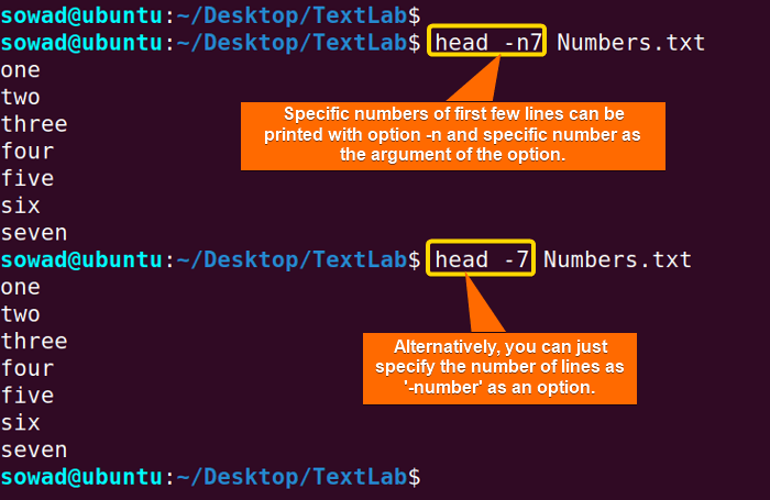 Linux-命令-head-示例_head 显示行号-CSDN博客