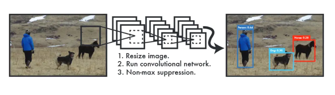 7239122-13b841a1aa25322e.png
