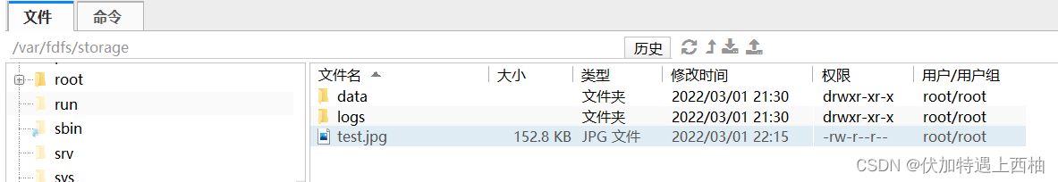 test.jpg