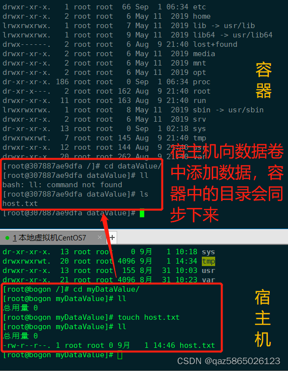 在这里插入图片描述