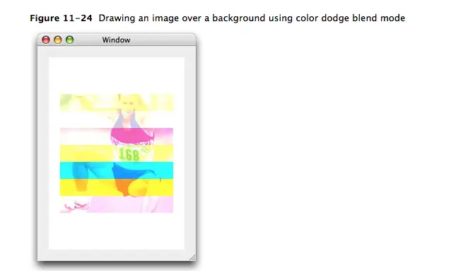 9052647-f34465fa00856a89.png