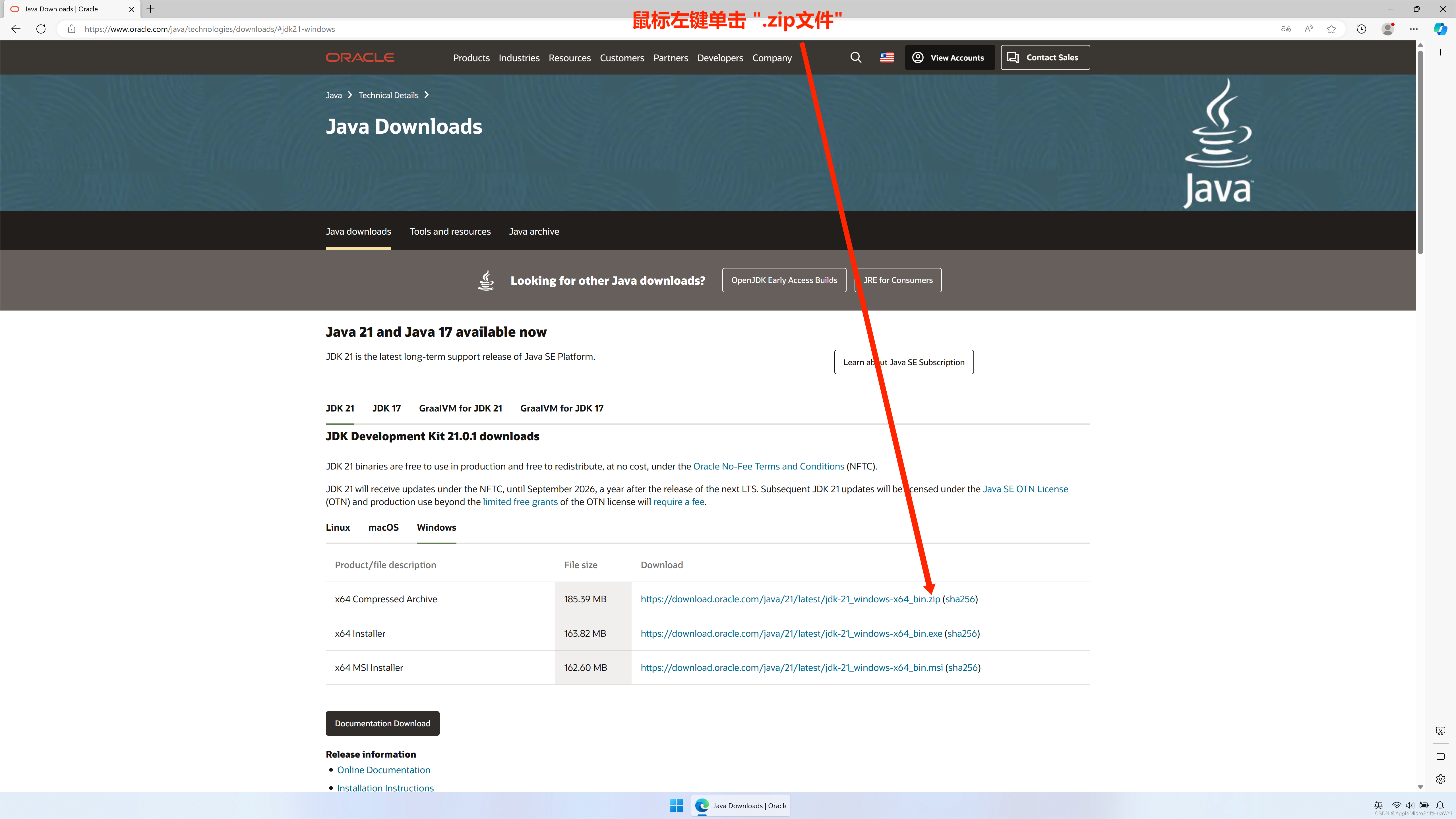 Java Development Kit (JDK21) 下载、解压、配置_jdk21下载-CSDN博客
