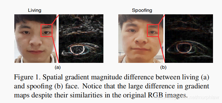 活体检测论文笔记2——Deep Spatial Gradient and Temporal Depth Learning for Face ...