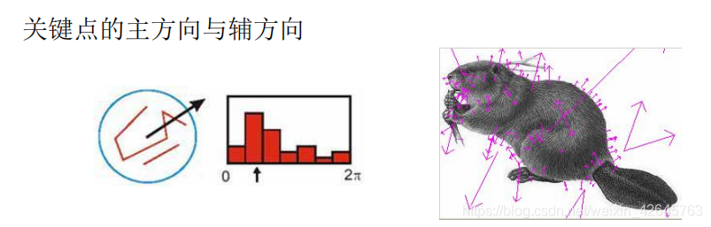 SIFT特征提取与检索--计算机视觉_极值_11
