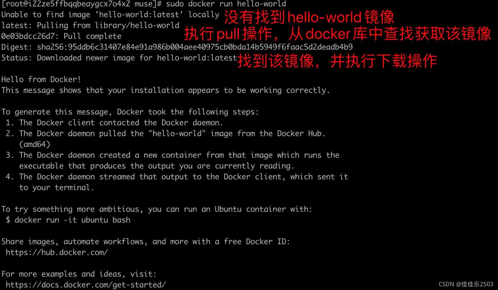 请添加图片描述