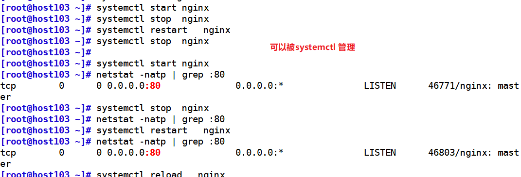 image-20210812212020894