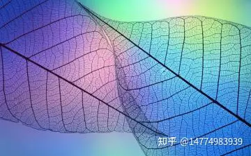 研发技术评审及项目有哪些？