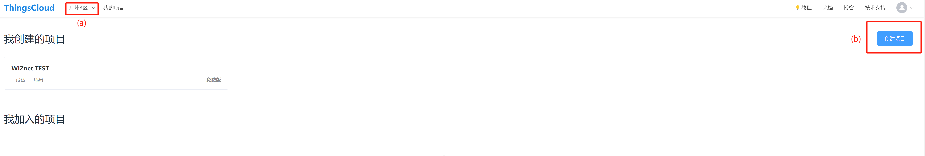 Select the server (a) and Create a project (b)