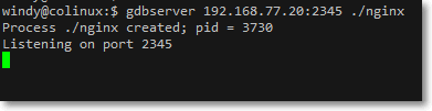 win_debug_linux - 风逸尘 - 星殒