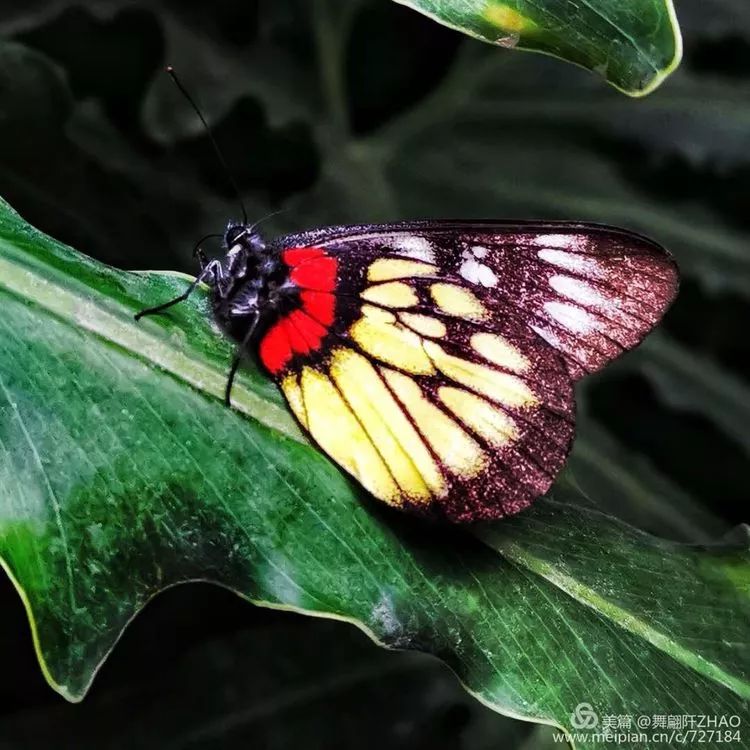 ad184cf6a5d87d23ac0bd5bfb5243fb7.png